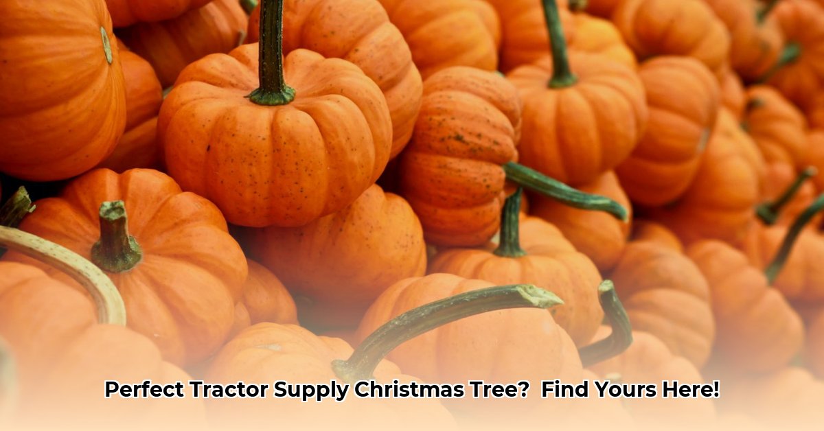 tractor-supply-artificial-christmas-trees